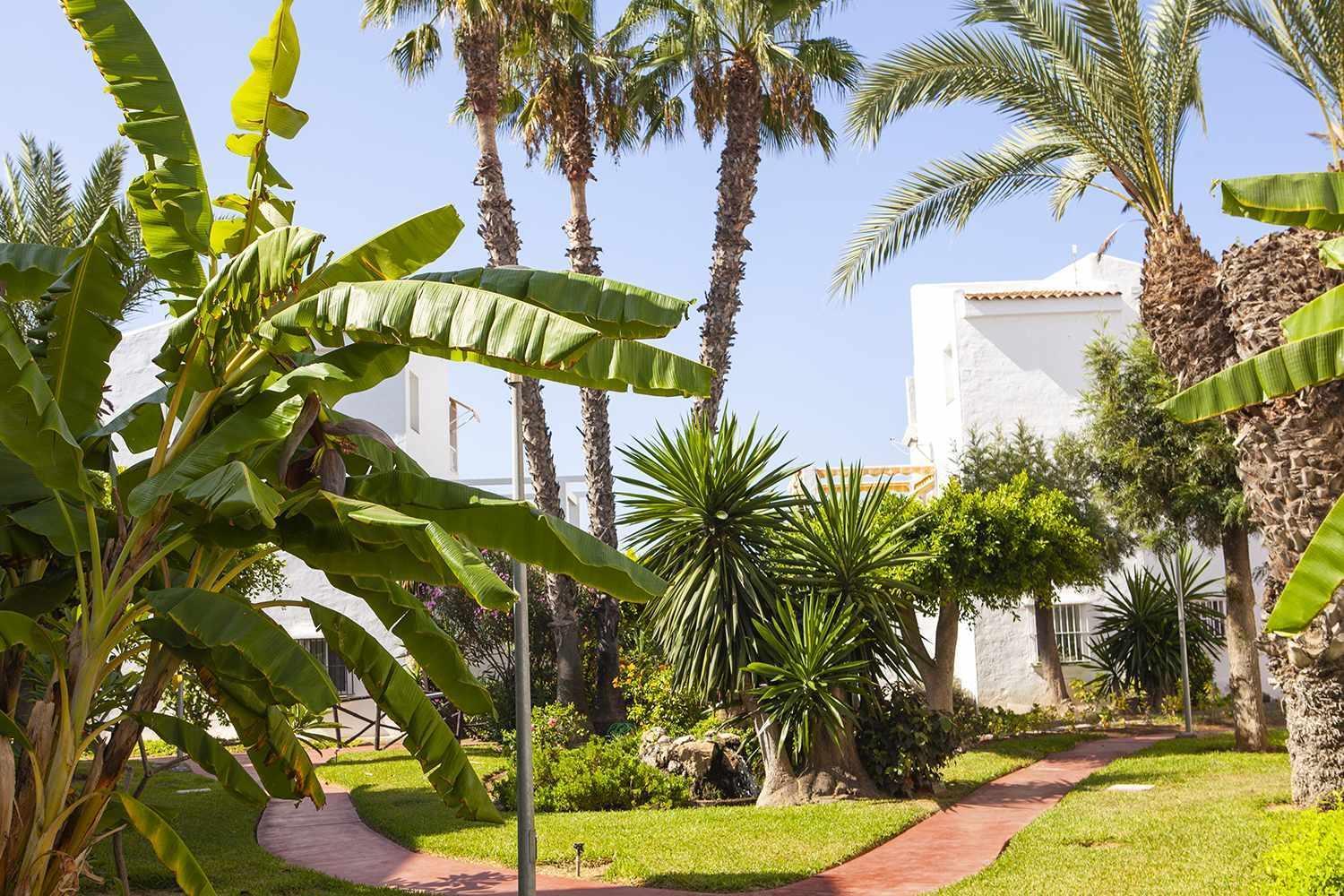 A 100M De Playa Piscina Y Todos Los Servicios Apartment Torrox Exterior foto