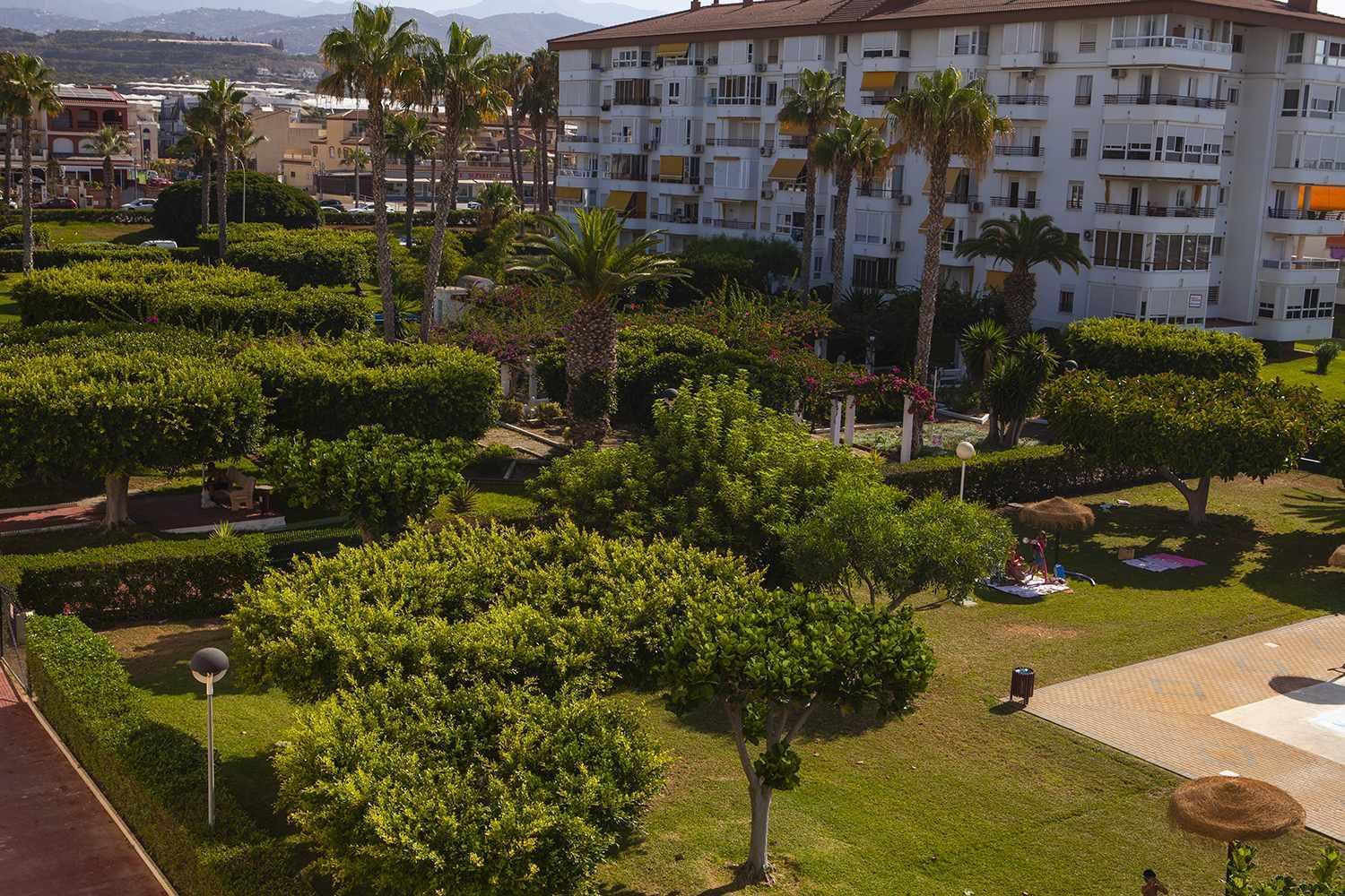 A 100M De Playa Piscina Y Todos Los Servicios Apartment Torrox Exterior foto